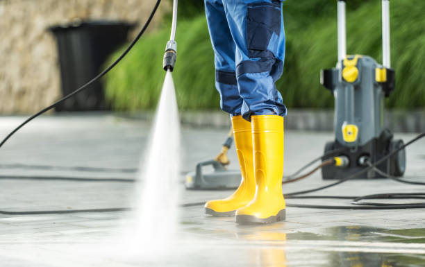 Best Roof Pressure Washing  in Ridge, NY