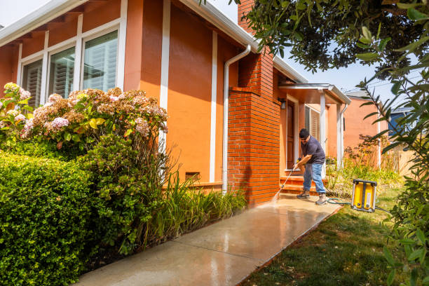 Best Residential Pressure Washing Services  in Ridge, NY