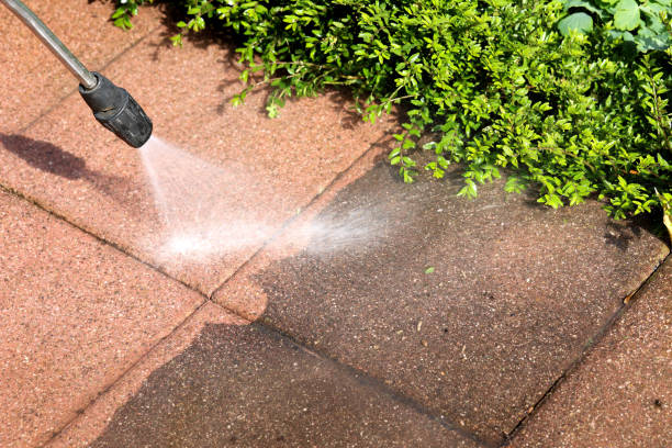 Best Commercial Building Pressure Washing  in Ridge, NY